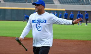 Yaquis
