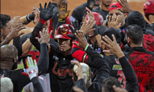 Cardenales