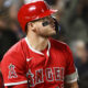 Trout