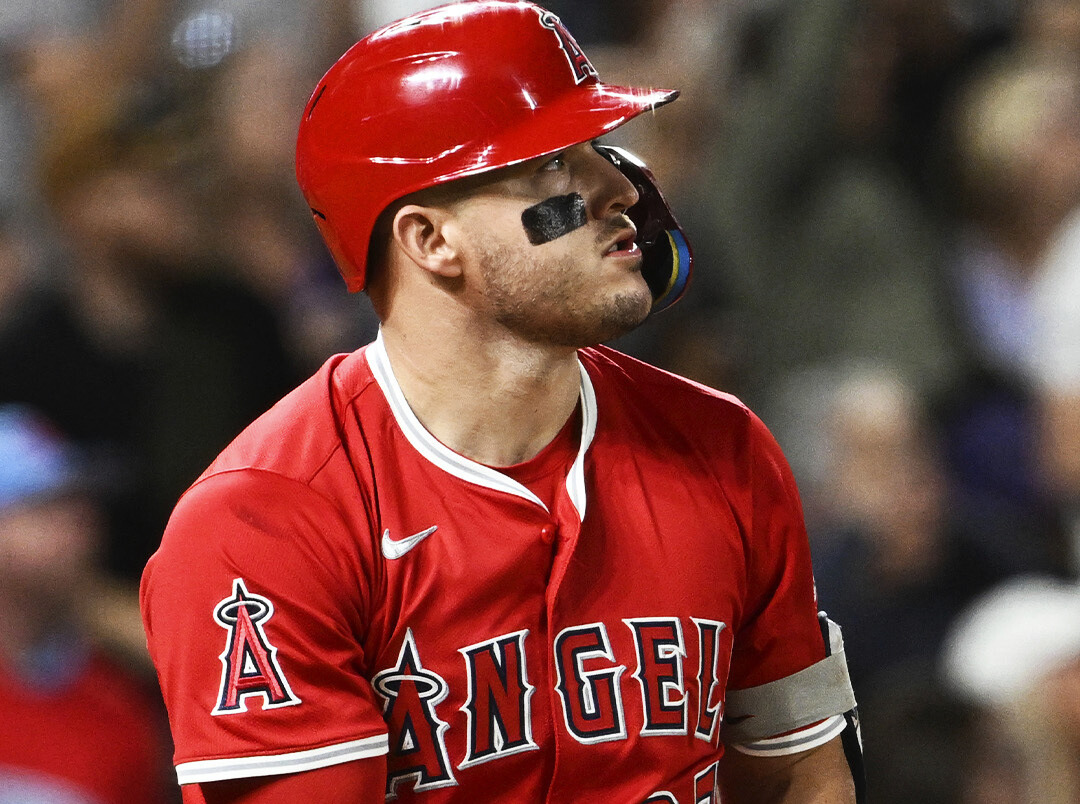 Trout