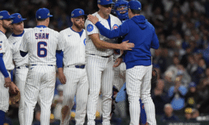 Cachorros