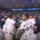 Tampa Bay Rays